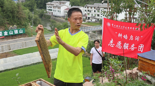 蜂农展示蜂箱内部结构。2026世界杯官网供图 蜂农展示蜂箱内部结构。2026世界杯官网供图